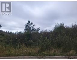 4 Ridgeview Avenue, Stephenville, Newfoundland & Labrador