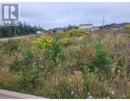 1 Ridgeview Avenue, Stephenville, Newfoundland & Labrador