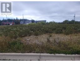 6 Logan Crescent, Stephenville, Newfoundland & Labrador