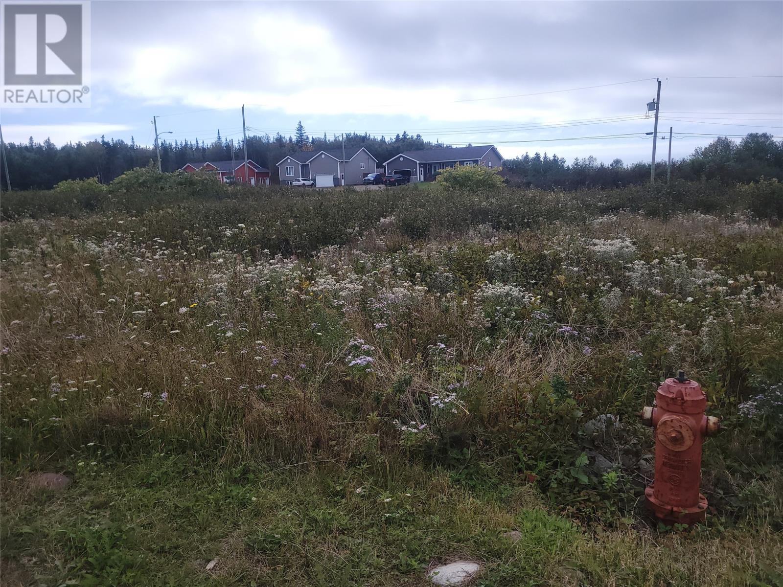 4 Logan Crescent, Stephenville, Newfoundland & Labrador