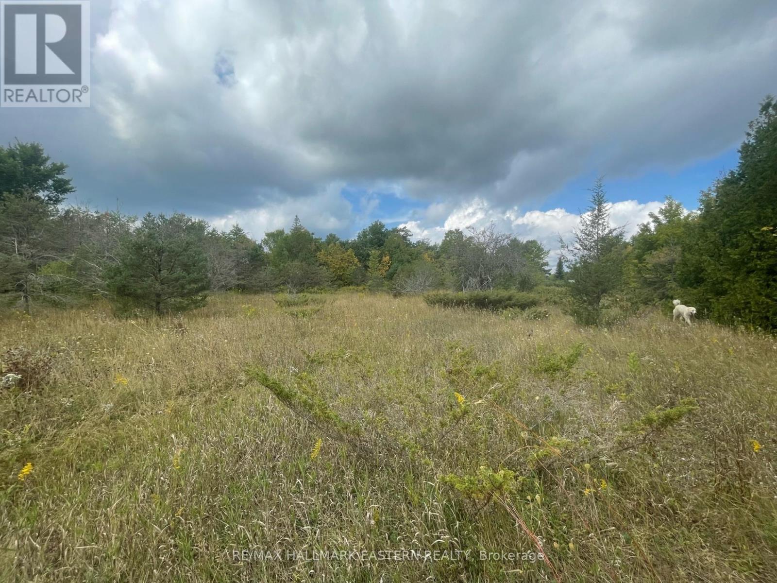 00 Adams-Cummings Road, Trent Lakes, Ontario  K0L 2J0 - Photo 7 - X12256603