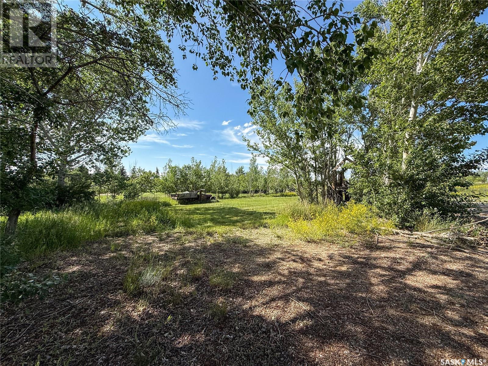 313 2nd Avenue W, Climax, Saskatchewan  S0N 0N0 - Photo 13 - SK011165