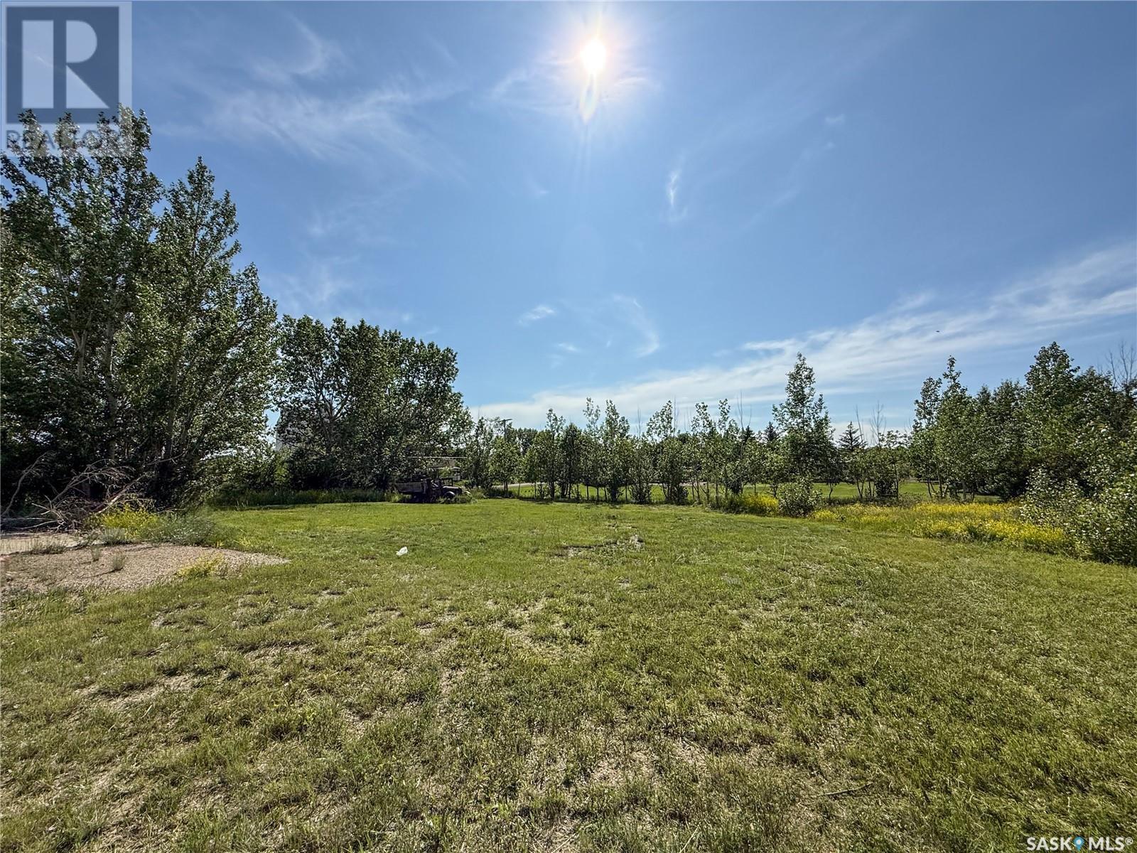 313 2nd Avenue W, Climax, Saskatchewan  S0N 0N0 - Photo 14 - SK011165