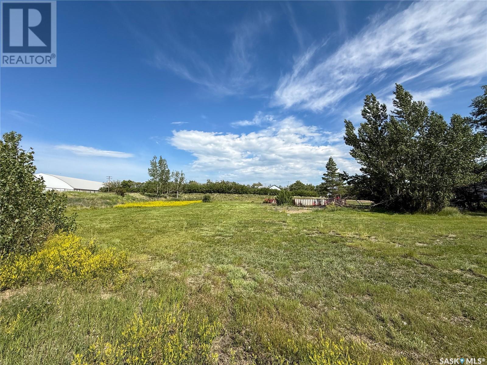 313 2nd Avenue W, Climax, Saskatchewan  S0N 0N0 - Photo 16 - SK011165