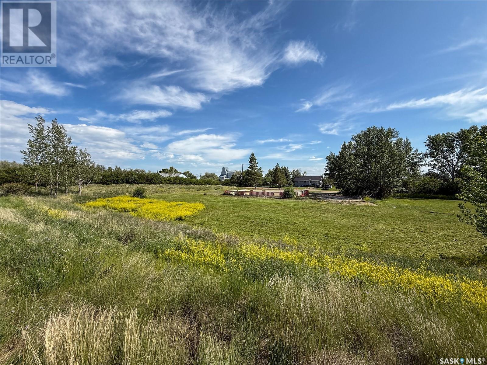 313 2nd Avenue W, Climax, Saskatchewan  S0N 0N0 - Photo 18 - SK011165