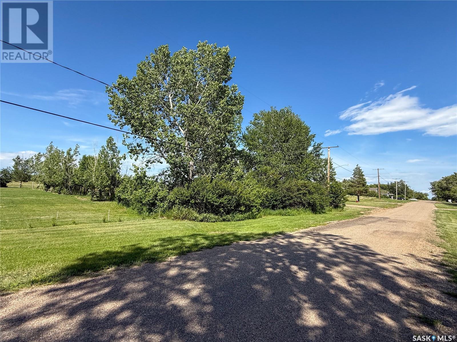 313 2nd Avenue W, Climax, Saskatchewan  S0N 0N0 - Photo 19 - SK011165