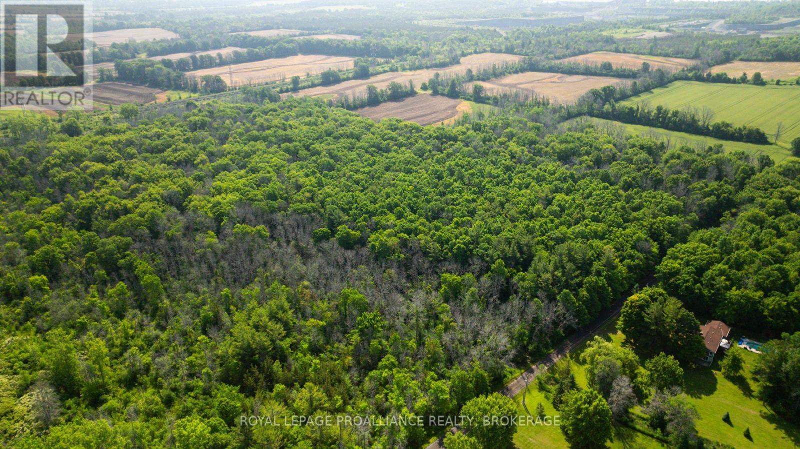 Lot B Townline Road, Loyalist, Ontario  K0H 1G0 - Photo 12 - X12245188