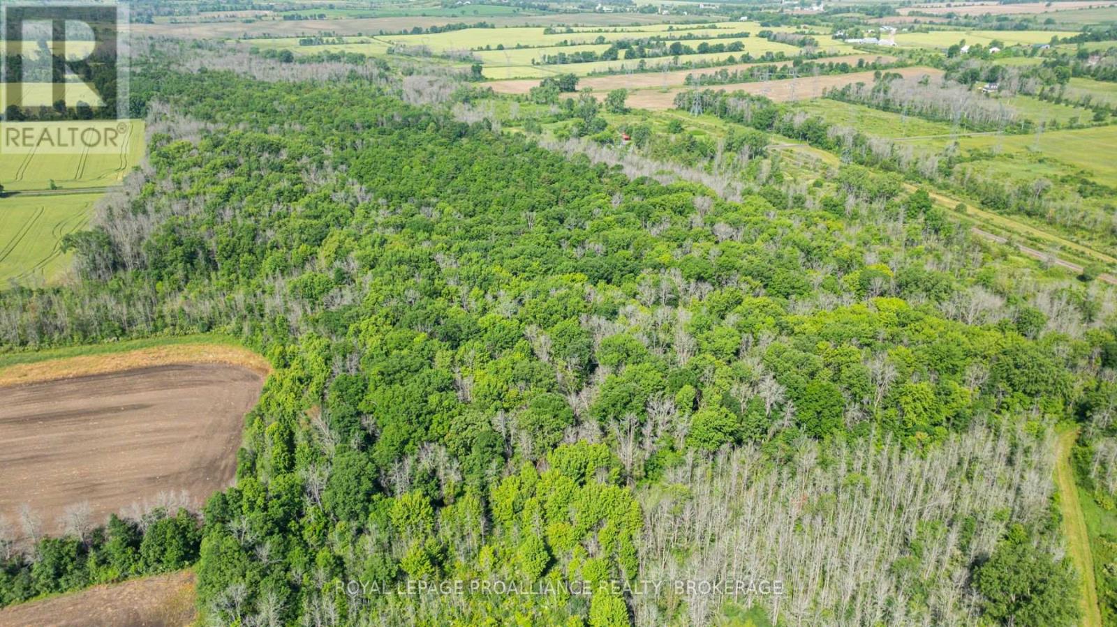 Lot B Townline Road, Loyalist, Ontario  K0H 1G0 - Photo 6 - X12245188