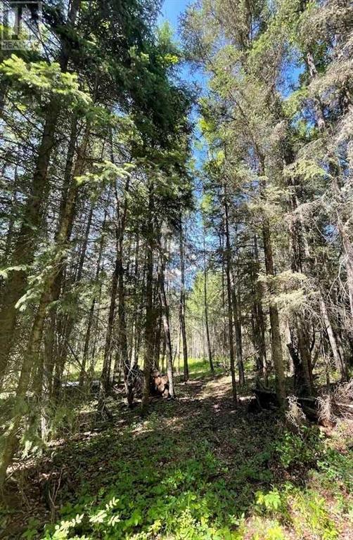 221054 670 Township, Rural Athabasca County, Alberta T9S 2B5 - Photo 13 - A2234230