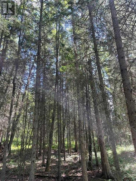 221054 670 Township, Rural Athabasca County, Alberta T9S 2B5 - Photo 14 - A2234230