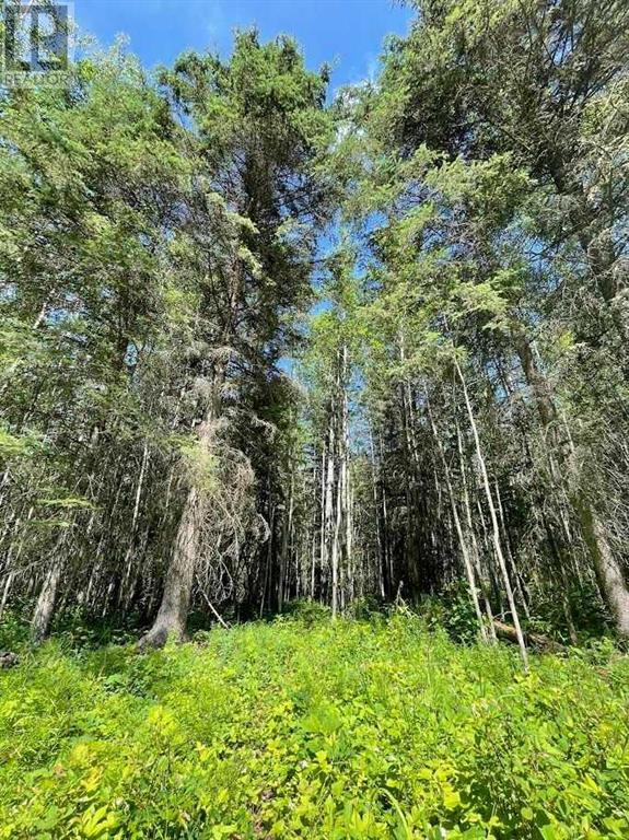 221054 670 Township, Rural Athabasca County, Alberta T9S 2B5 - Photo 18 - A2234230