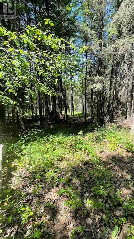 221054 670 Township, Rural Athabasca County, Alberta T9S 2B5 - Photo 12 - A2234230