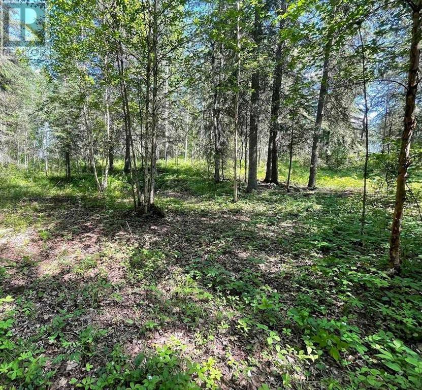 221054 670 Township, Rural Athabasca County, Alberta T9S 2B5 - Photo 11 - A2234230