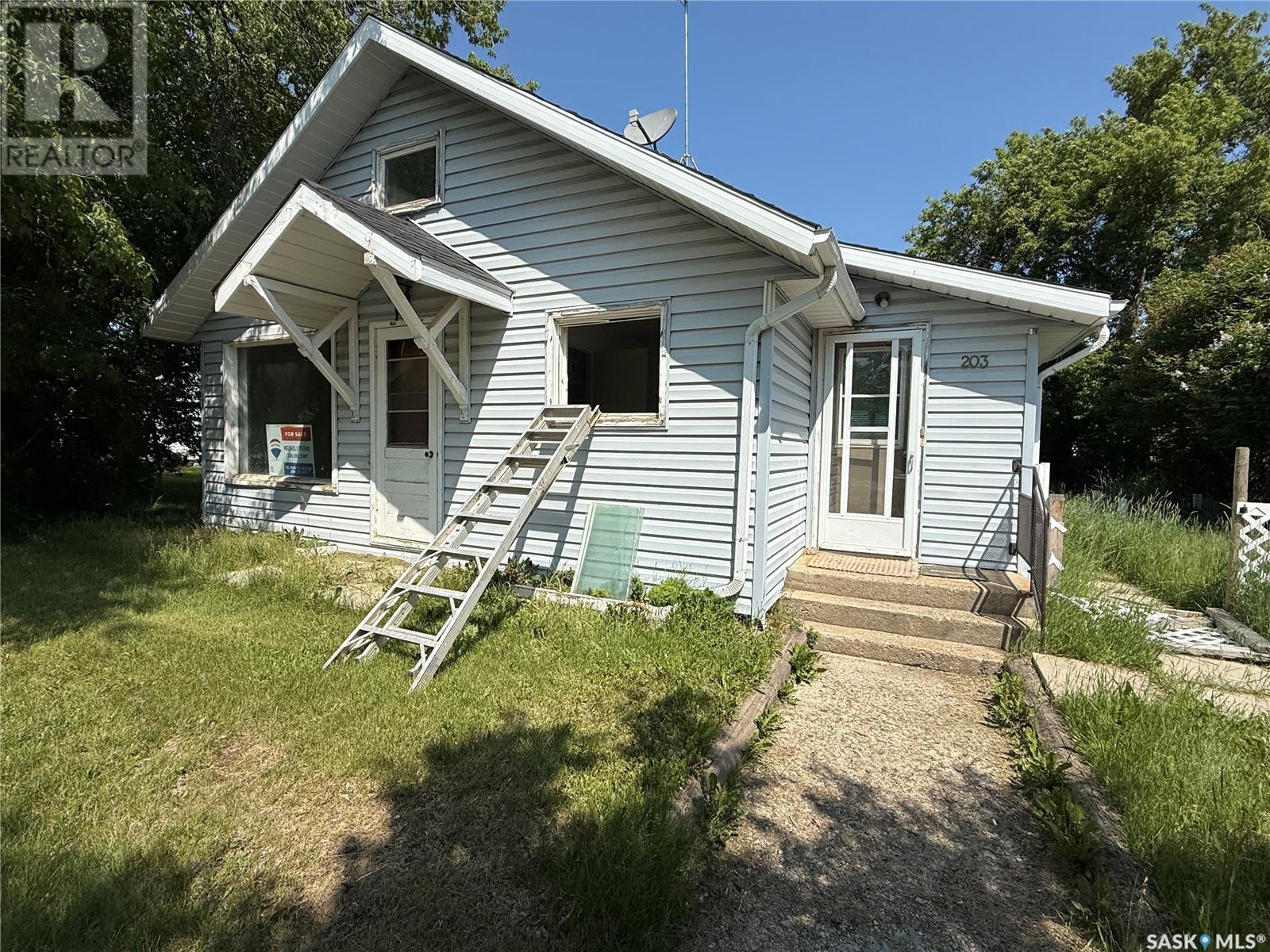 203 Centre Street, Naicam, Saskatchewan  S0K 2Z0 - Photo 1 - SK003080