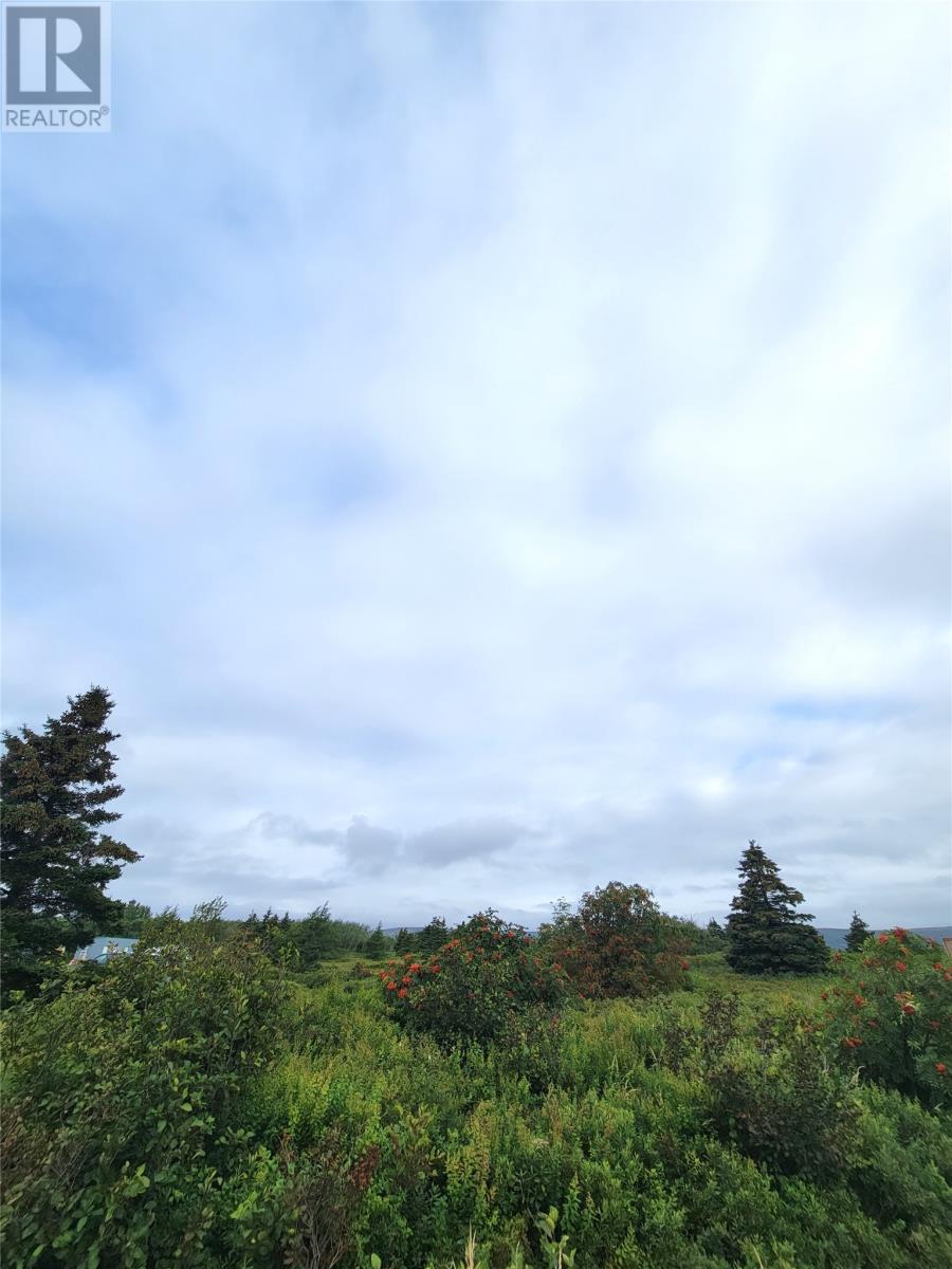 70A CENTRAL Street, BAY ROBERTS, Newfoundland & Labrador