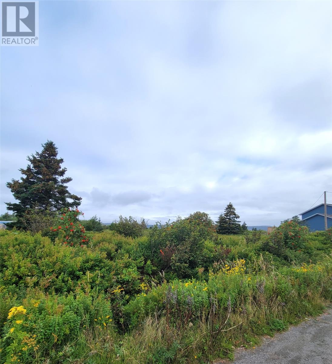 70a Central Street, Bay Roberts, Newfoundland & Labrador  A0A 1G0 - Photo 2 - 1287174