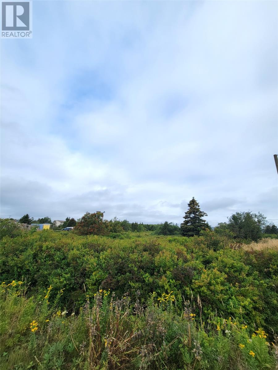 70a Central Street, Bay Roberts, Newfoundland & Labrador  A0A 1G0 - Photo 3 - 1287174