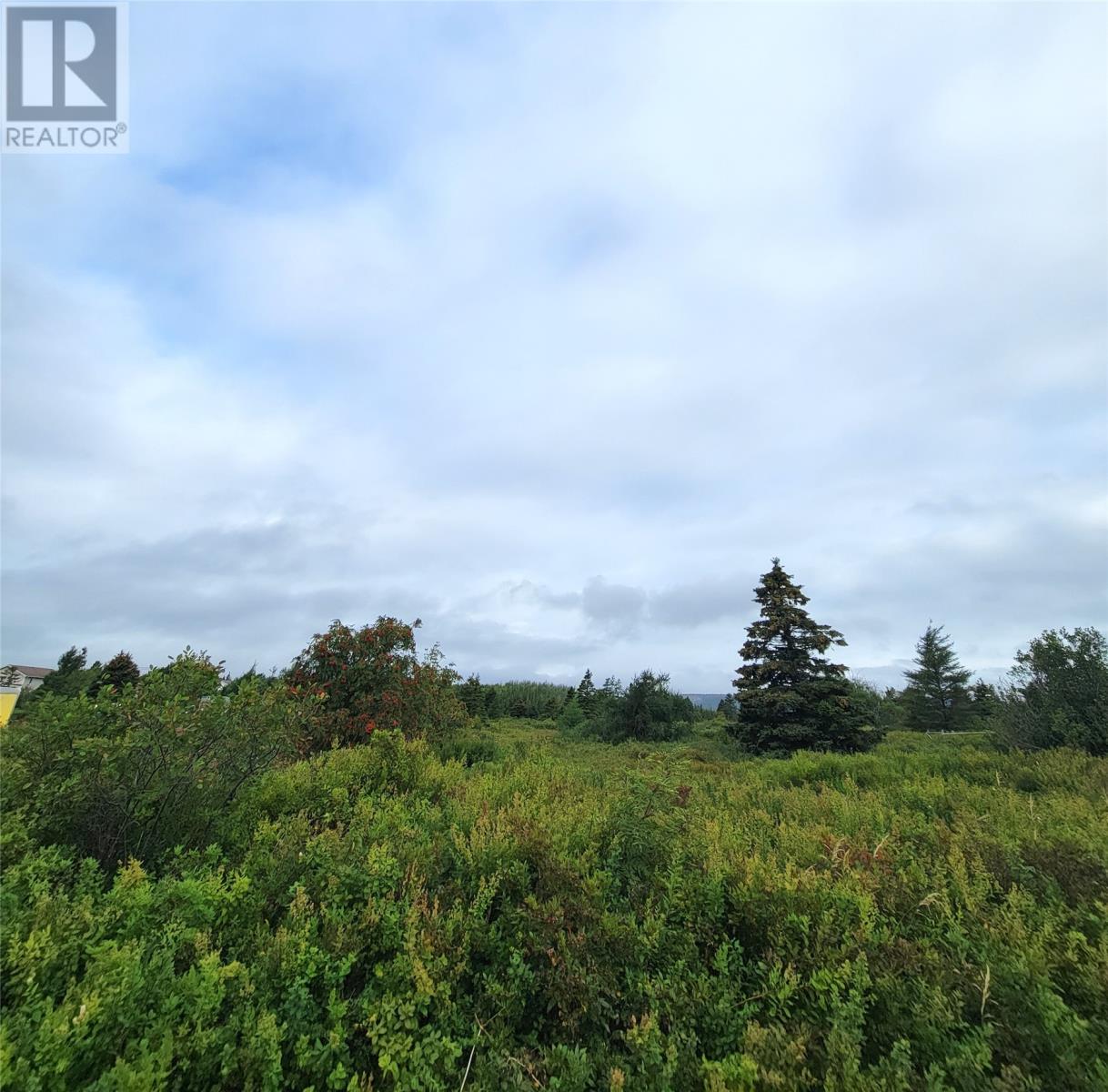 70a Central Street, Bay Roberts, Newfoundland & Labrador  A0A 1G0 - Photo 4 - 1287174