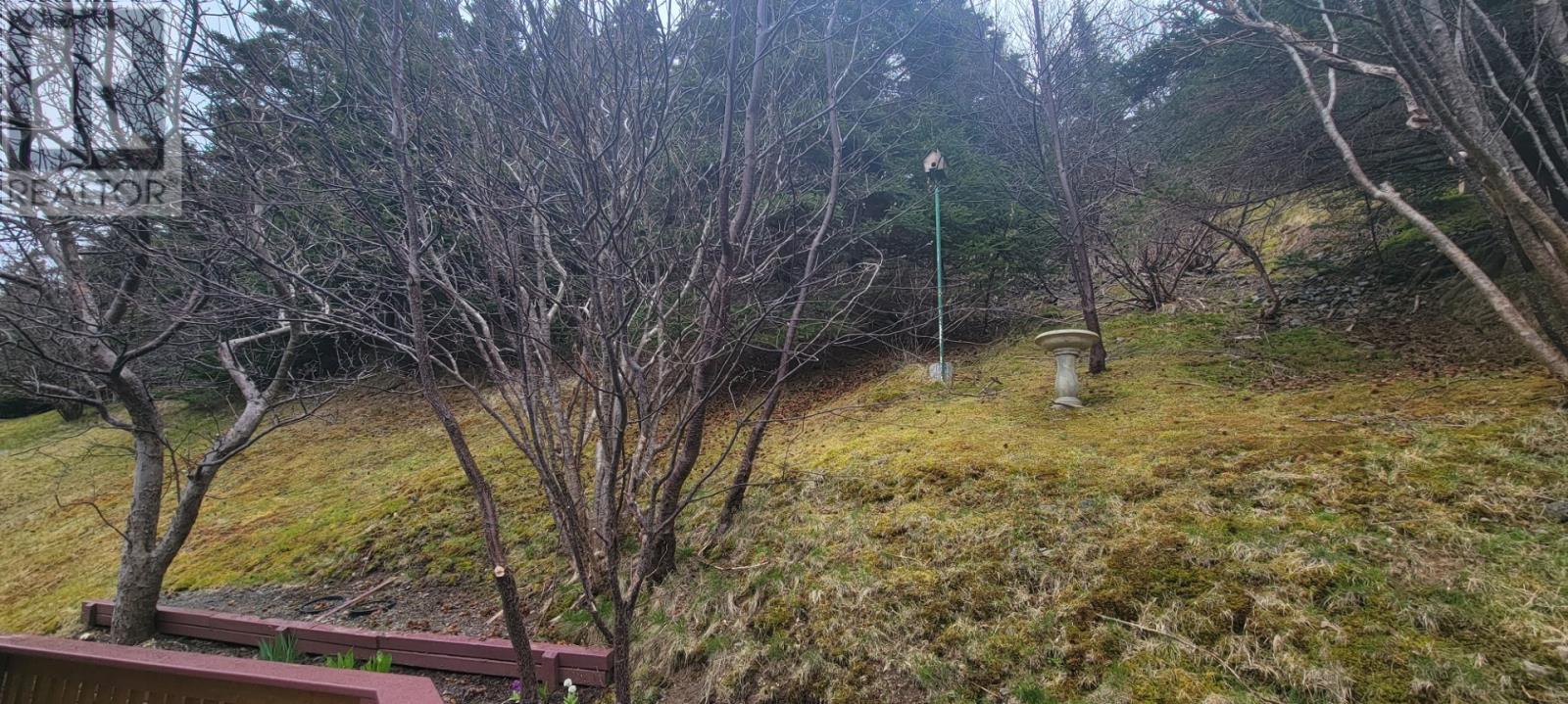 11-15 Southside Road, Port Aux Bras, Newfoundland & Labrador  A0E 1E0 - Photo 8 - 1271795