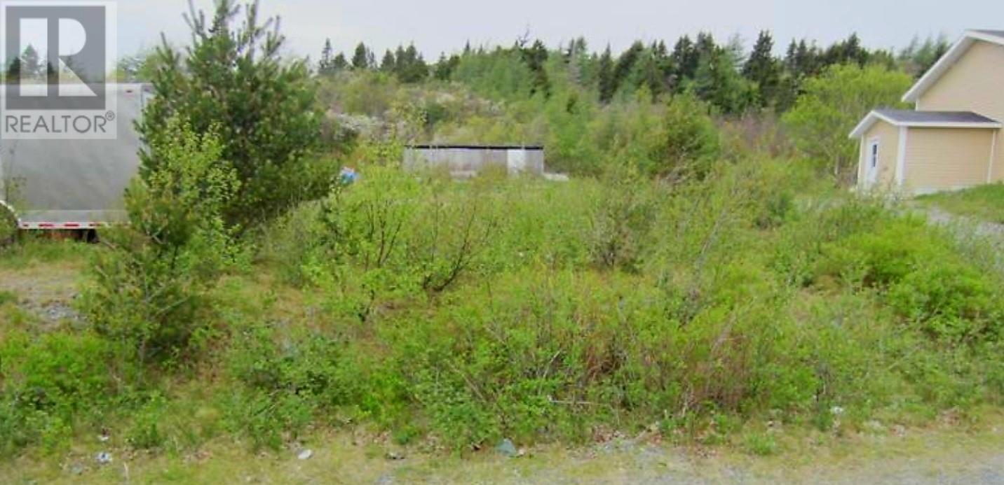11 Snows Sub-Division, Bay Roberts, Newfoundland & Labrador  A0A 1G0 - Photo 3 - 1287076