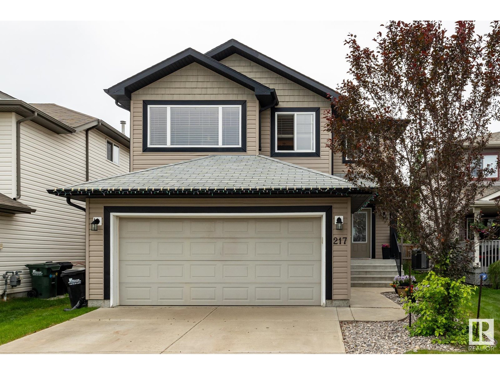 Property at 217 FOXTAIL WY image 1