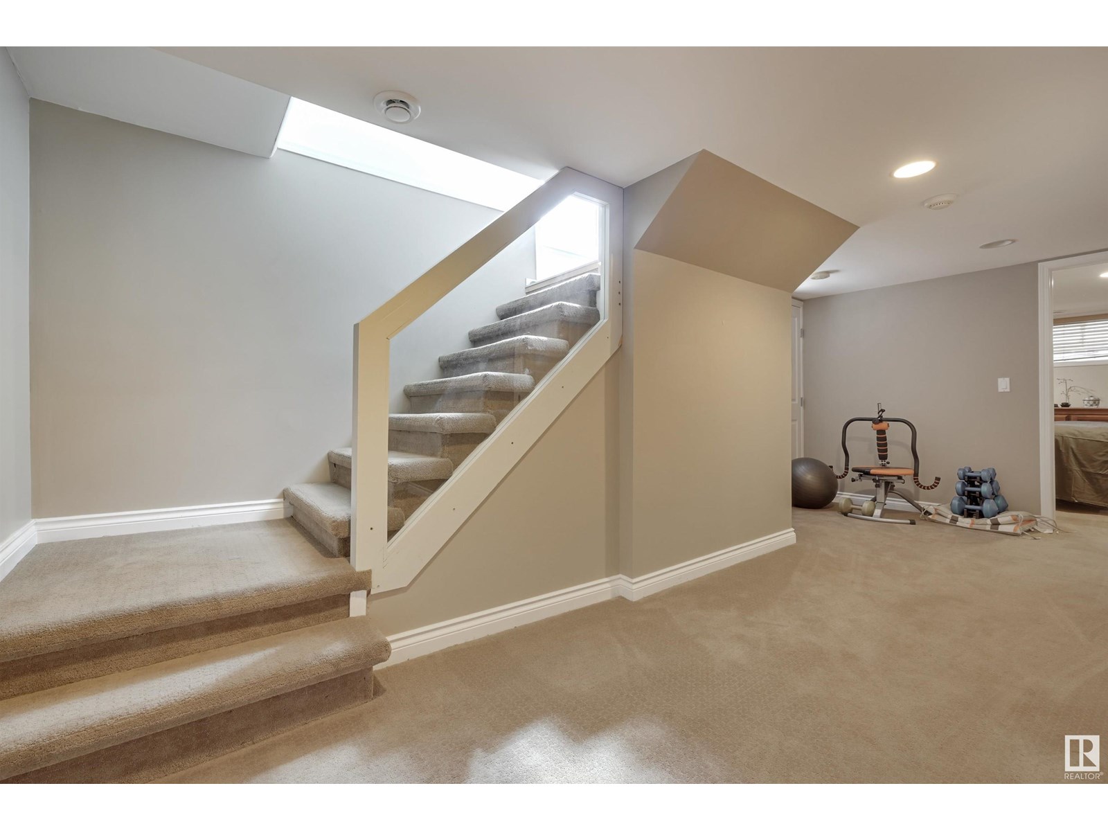 14023 104 Av Nw, Edmonton, Alberta  T5N 0W7 - Photo 29 - E4445344