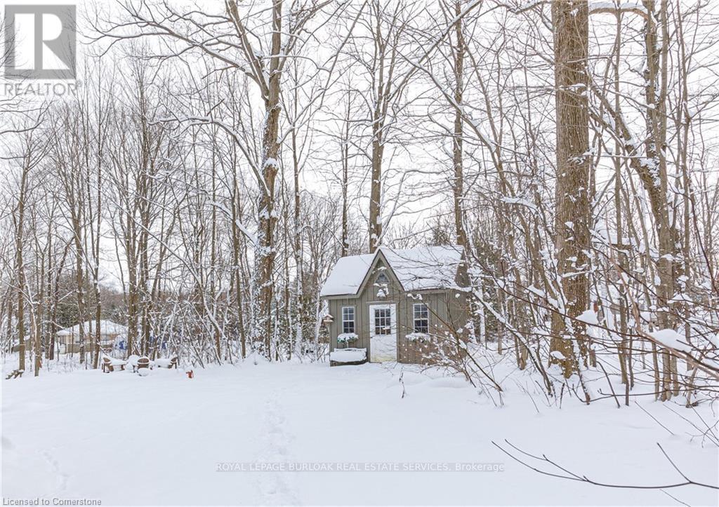 234 Canrobert Street, Grey Highlands, Ontario  N0C 1E0 - Photo 50 - X12256991