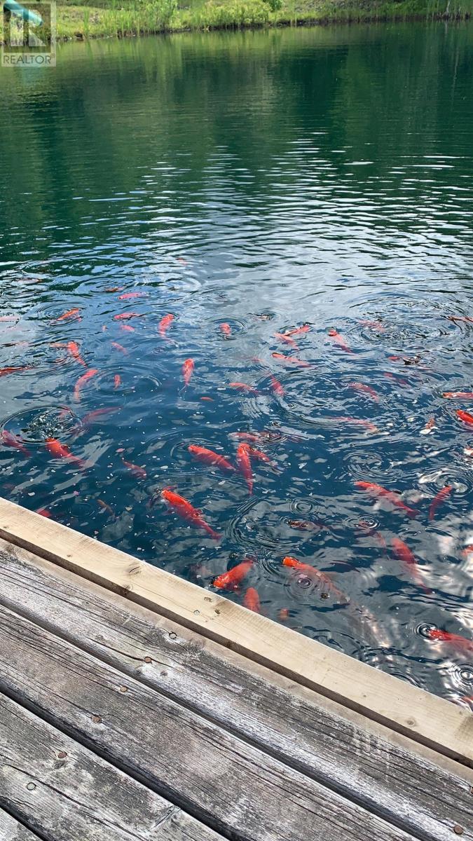 133 Bradley Road, Greenwood, Nova Scotia  B2H 5C7 - Photo 42 - 202506932