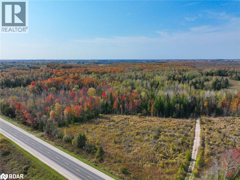 793510 County Rd 124, Grey Highlands, Ontario  N0C 1M0 - Photo 7 - 40715912