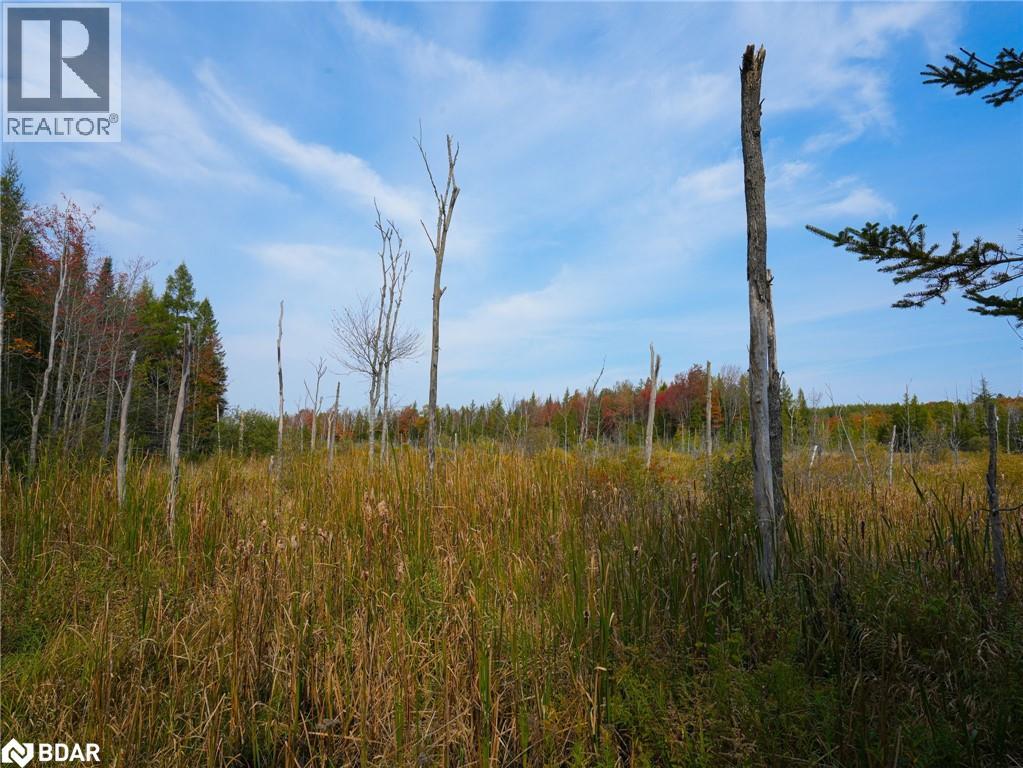 793510 County Rd 124, Grey Highlands, Ontario  N0C 1M0 - Photo 8 - 40715912