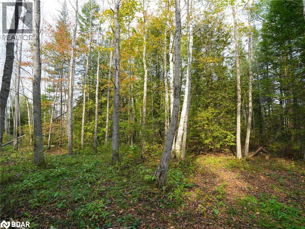 793510 County Rd 124, Grey Highlands, Ontario  N0C 1M0 - Photo 10 - 40715912
