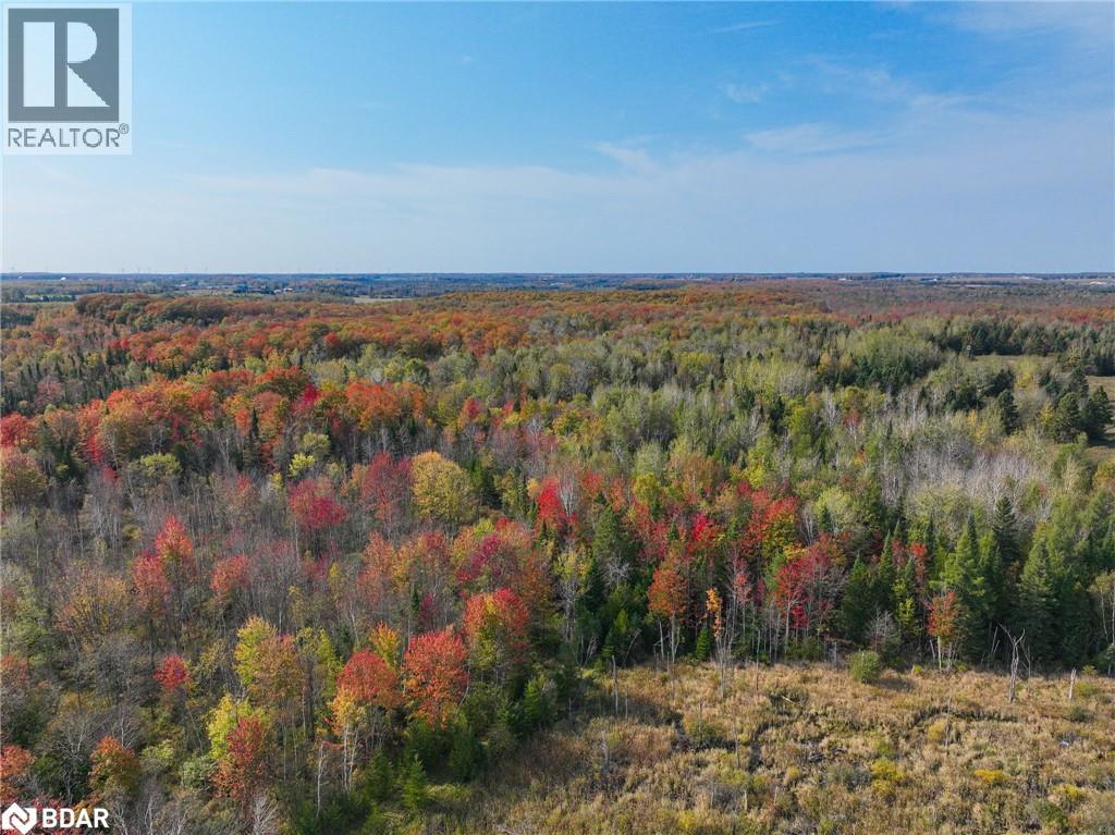 793510 County Rd 124, Grey Highlands, Ontario  N0C 1M0 - Photo 9 - 40715912