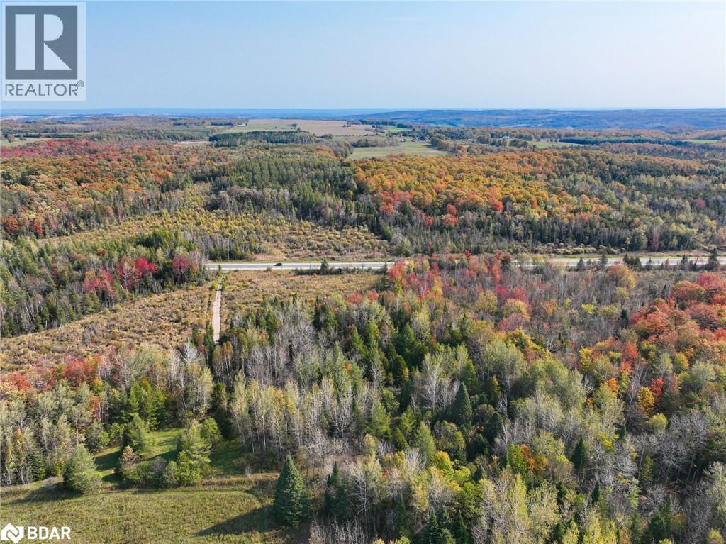 793510 County Rd 124, Grey Highlands, Ontario  N0C 1M0 - Photo 4 - 40715912