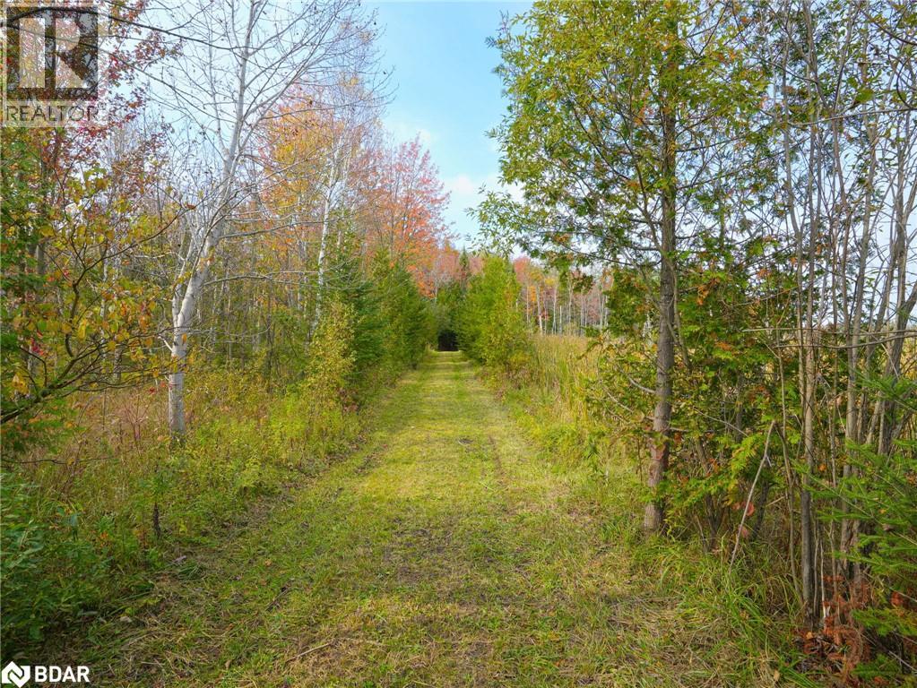 793510 County Rd 124, Grey Highlands, Ontario  N0C 1M0 - Photo 11 - 40715912