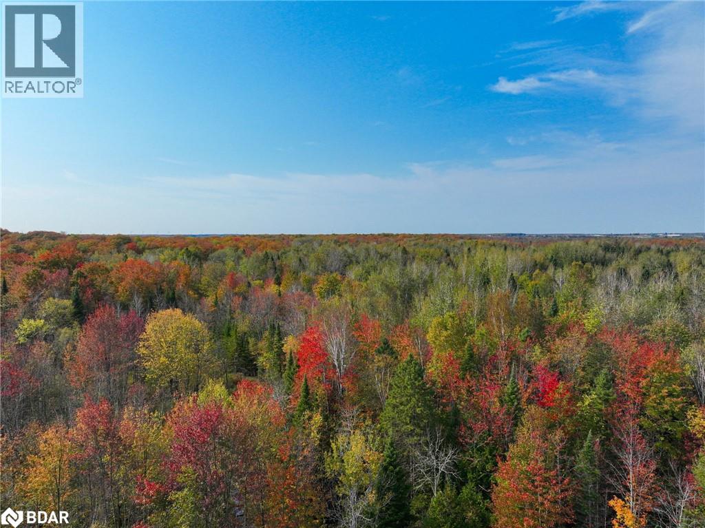 793510 County Rd 124, Grey Highlands, Ontario  N0C 1M0 - Photo 22 - 40715912