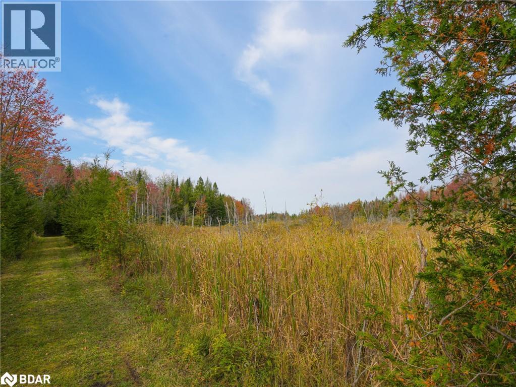 793510 County Rd 124, Grey Highlands, Ontario  N0C 1M0 - Photo 12 - 40715912
