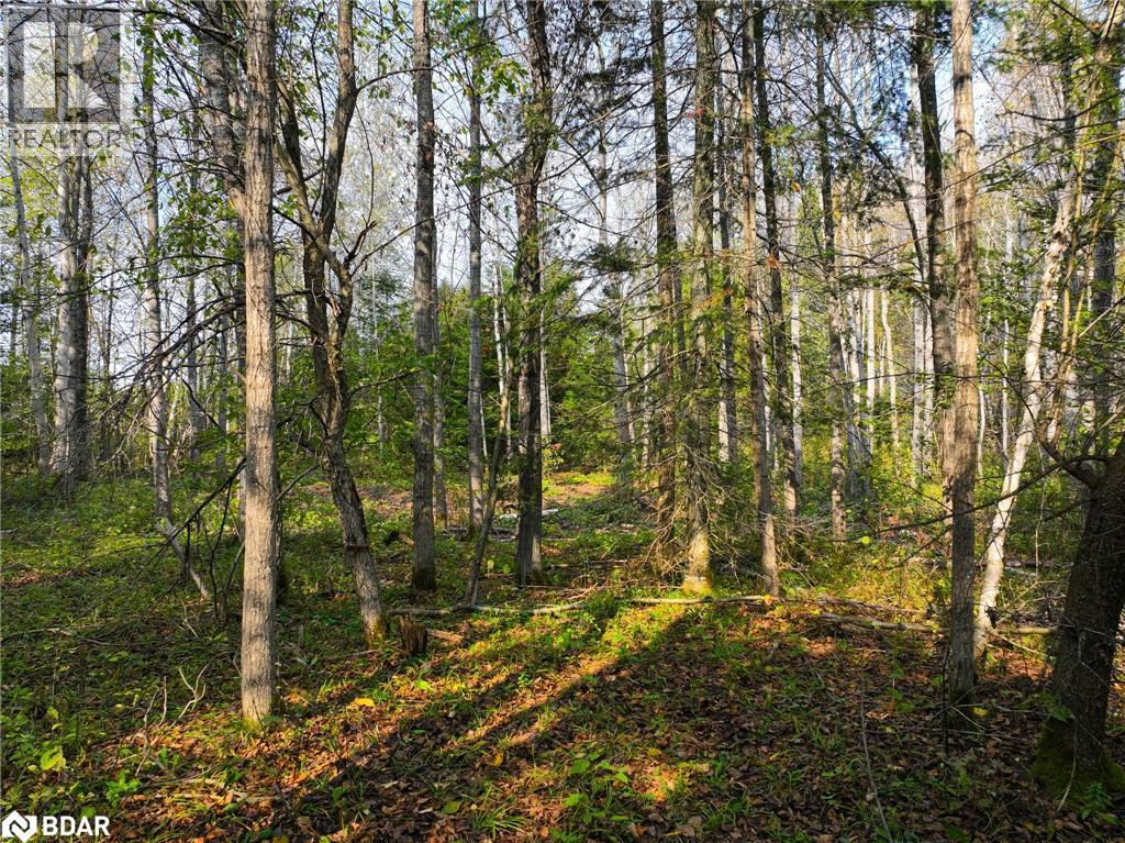 793510 County Rd 124, Grey Highlands, Ontario  N0C 1M0 - Photo 13 - 40715912