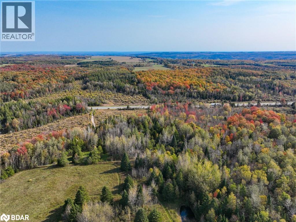 793510 County Rd 124, Grey Highlands, Ontario  N0C 1M0 - Photo 15 - 40715912