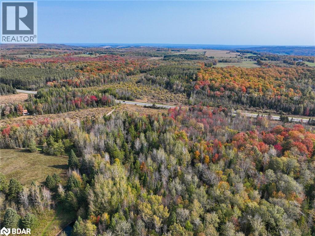 793510 County Rd 124, Grey Highlands, Ontario  N0C 1M0 - Photo 16 - 40715912
