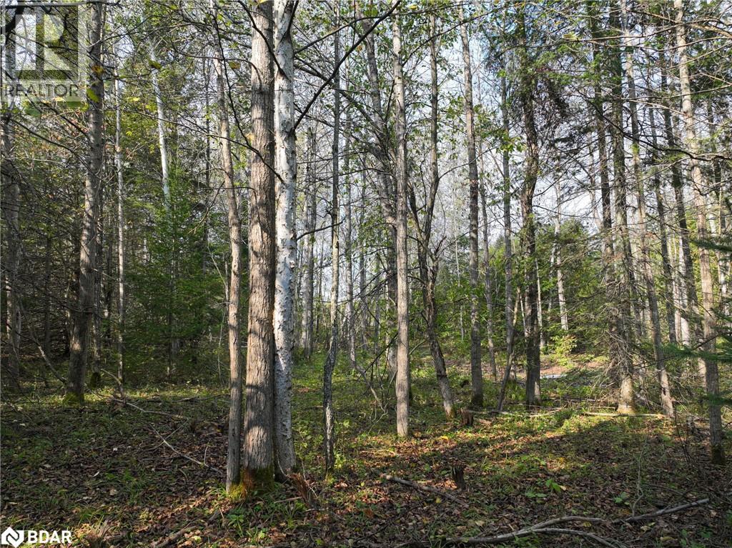 793510 County Rd 124, Grey Highlands, Ontario  N0C 1M0 - Photo 14 - 40715912
