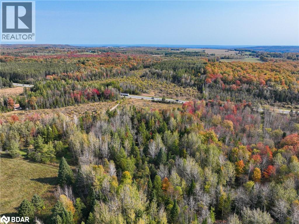 793510 County Rd 124, Grey Highlands, Ontario  N0C 1M0 - Photo 17 - 40715912