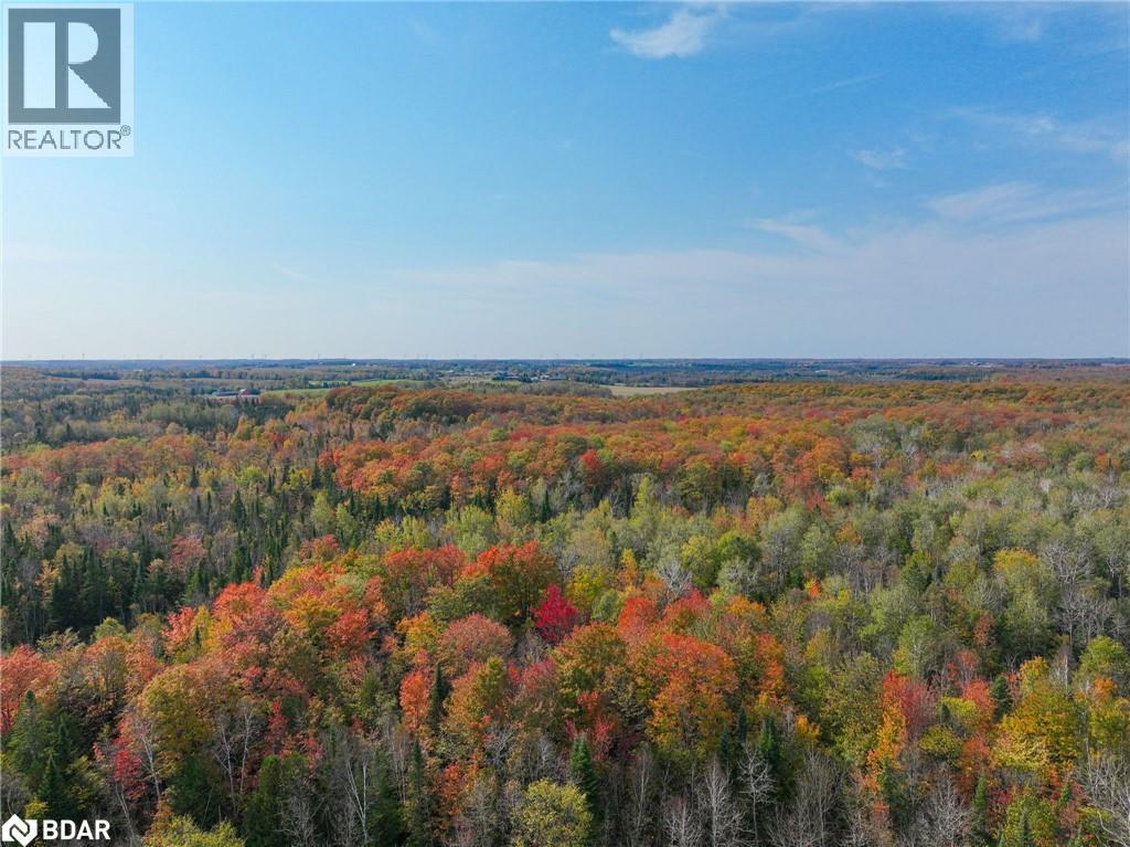 793510 County Rd 124, Grey Highlands, Ontario  N0C 1M0 - Photo 20 - 40715912