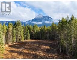 1506 KASHMIR Court, golden, British Columbia
