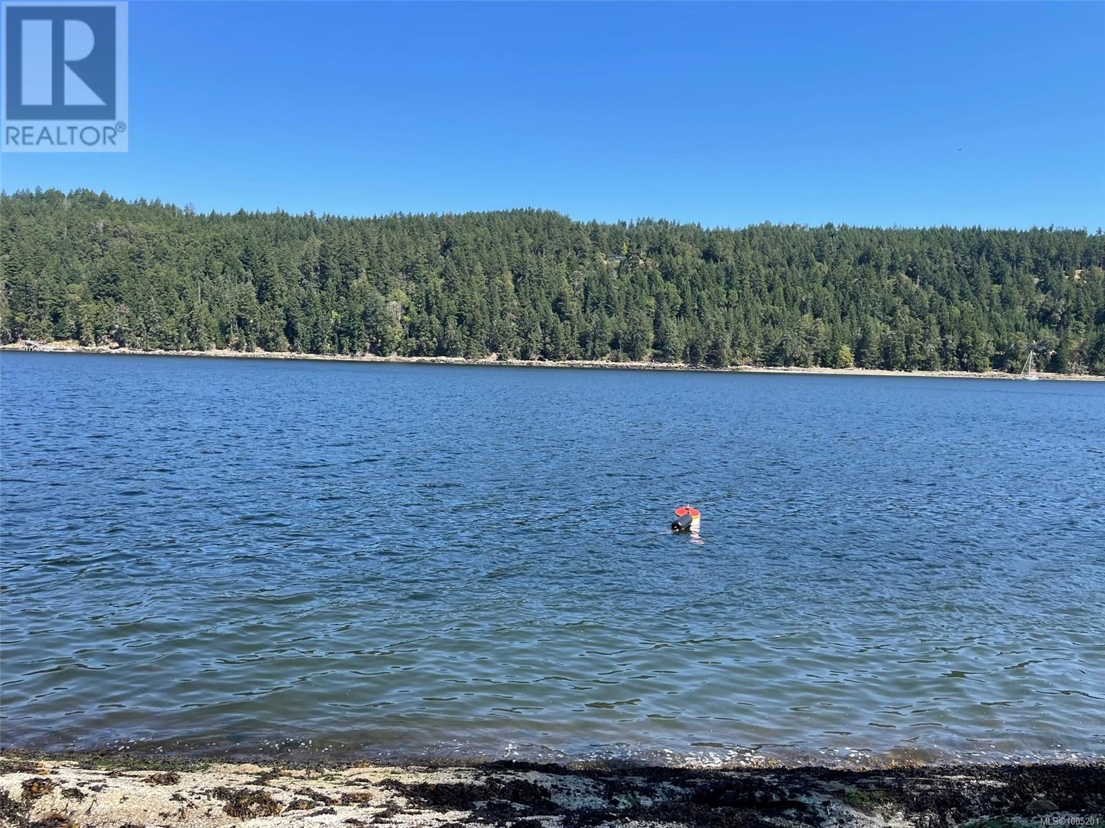 Lorem Ipsum, Mudge Island, British Columbia  A1A  - Photo 9 - DEMO28545405