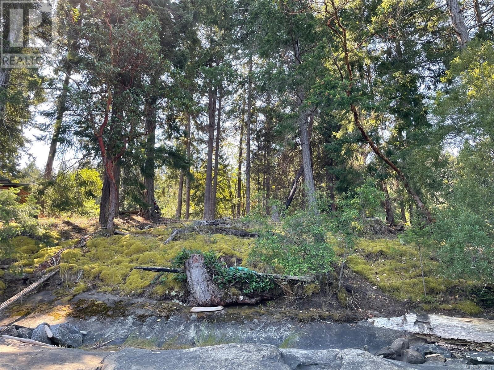 Lorem Ipsum, Mudge Island, British Columbia  A1A  - Photo 10 - DEMO28545405
