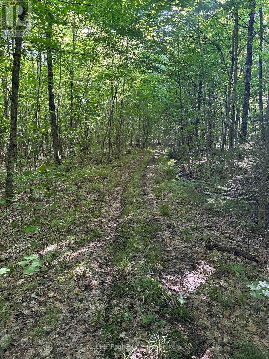 Pt Lt 8,9,10 Con 13, Parry Sound Remote Area, Ontario P0H 1S0 - Photo 10 - X12250793