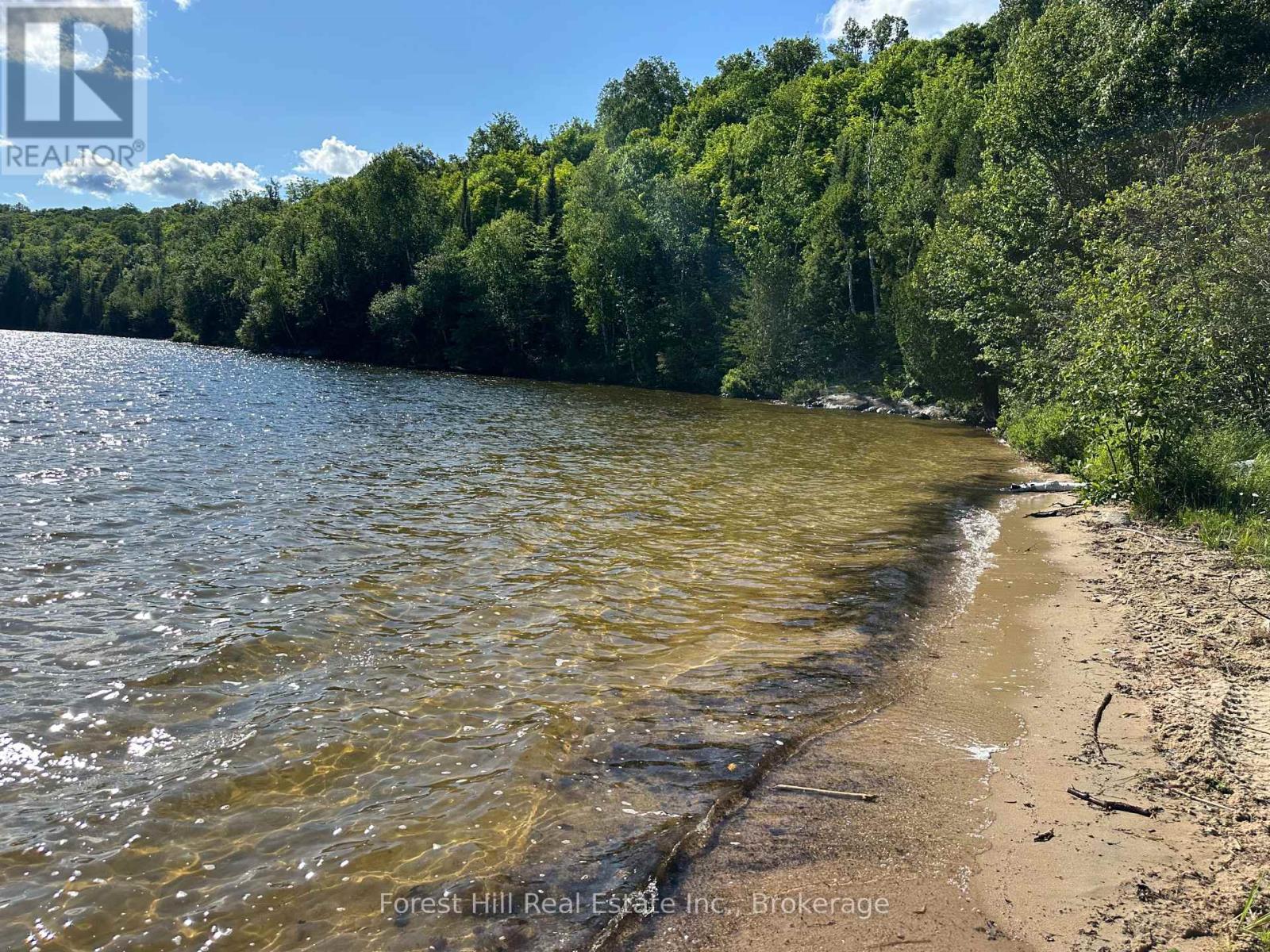 Pt Lt 8,9,10 Con 13, Parry Sound Remote Area, Ontario P0H 1S0 - Photo 4 - X12250793