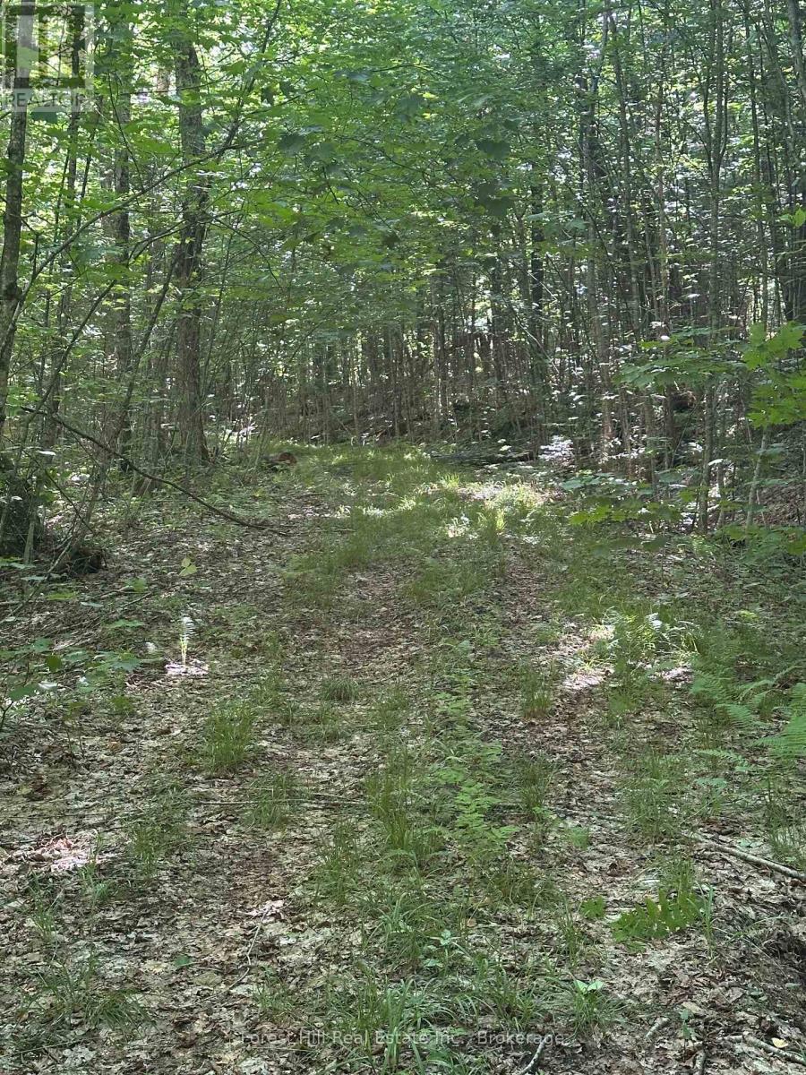 Pt Lt 8,9,10 Con 13, Parry Sound Remote Area, Ontario P0H 1S0 - Photo 8 - X12250793