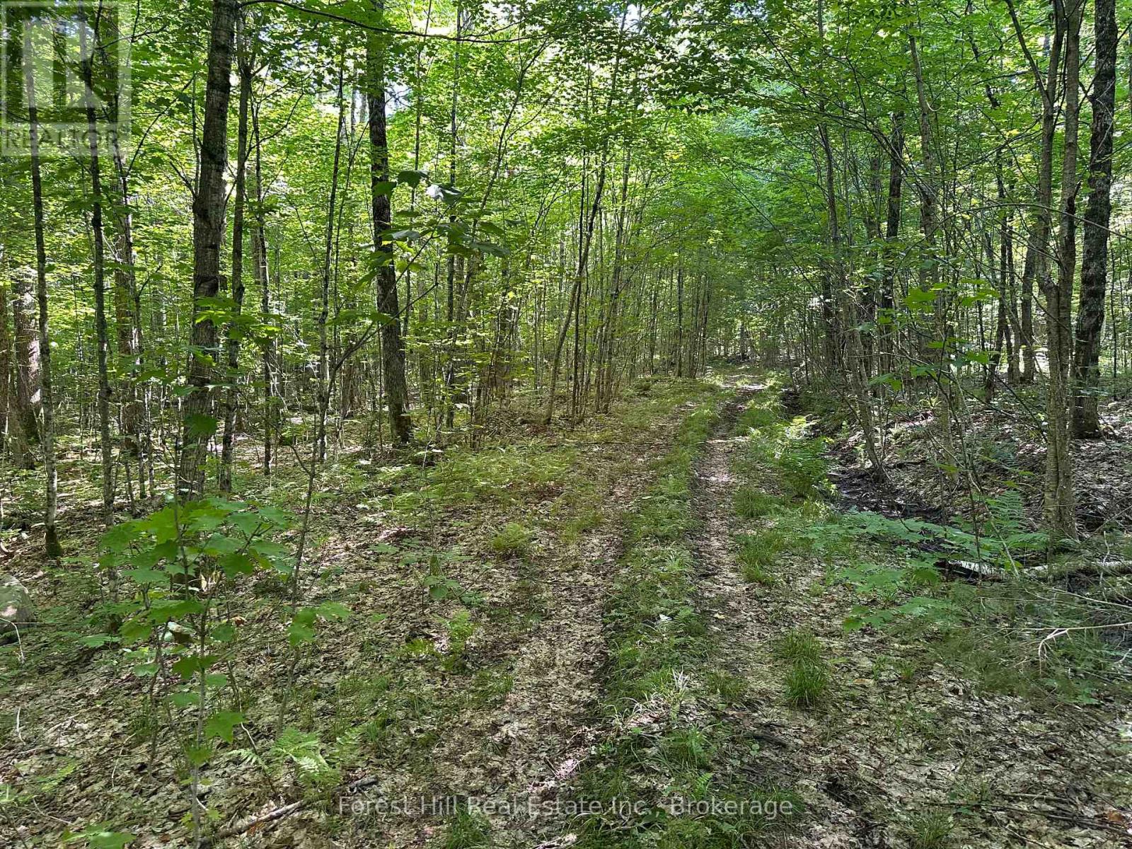 Pt Lt 8,9,10 Con 13, Parry Sound Remote Area, Ontario P0H 1S0 - Photo 9 - X12250793