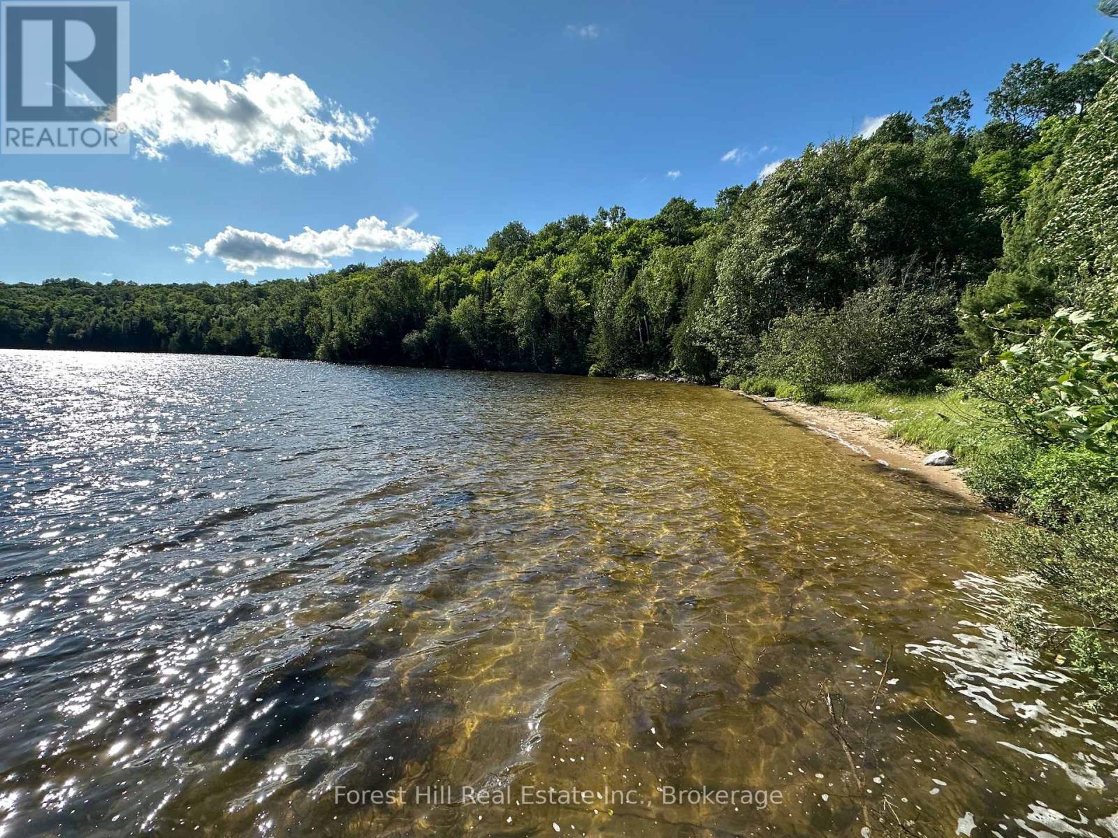 Pt Lt 8,9,10 Con 13, Parry Sound Remote Area, Ontario P0H 1S0 - Photo 7 - X12250793